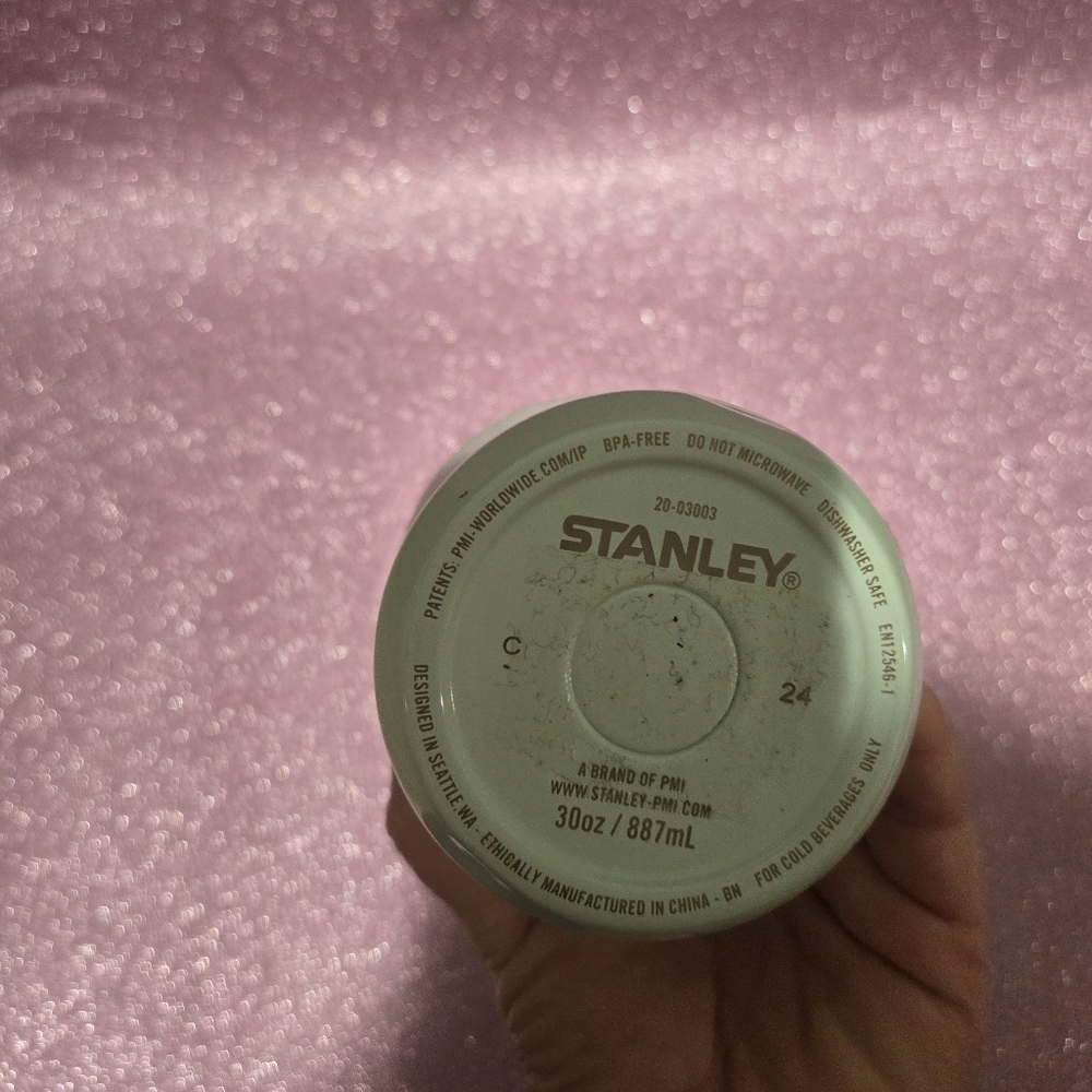 Stanley Travel Tumbler with Silver Band and Floral Pattern in Pale Green - Picture 5 of 9